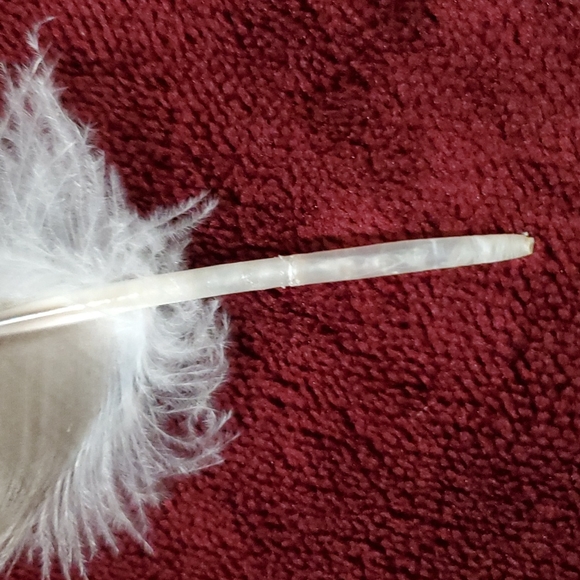 FOUND -- BIG Feather 11½ inch BEAUTIFUL Pheasant Bird Odd Decor Nature Outside - Picture 7 of 12